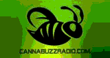 CANNABUZZRADIO