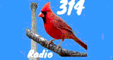 314 Bird Radio