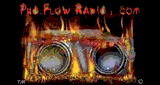 Pro Flow Radio