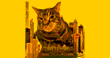 Sammy's NYC Indie-Electro Radio