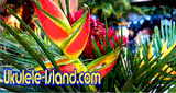 Aloha Joe's Ukulele Island Radio