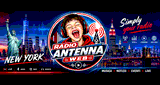Antenna Web New York