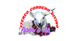 Stereo Cordero Divino