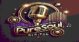 PureSoul Digital (Gospel Vibes)