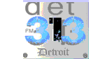 Det 313 FM
