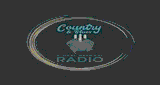 The Ultimate Country & Blues Music