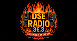 DSE Radio