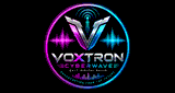 Voxtron Cyberwave