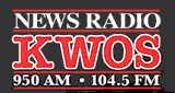 News Radio 950