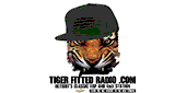 Tiger Fitted Radio