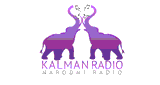 Kalman radio