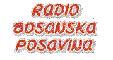 Bosanska Posavina