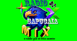 Sapucaia mix