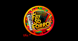 Fay S&oacute; Forr&oacute;