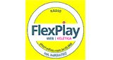 FLEX PLAY Arari