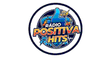 R&aacute;dio Positiva Hits