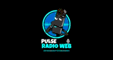 Pulse R&aacute;dio Web