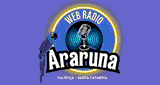 Web R&aacute;dio Araruna
