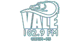 Vale 102 FM