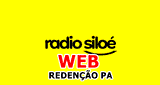 Radio silo&eacute; web
