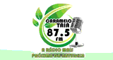 R&aacute;dio Carmelotaia