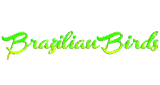 R&aacute;dio Brazilian Birds