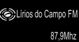 R&aacute;dio L&iacute;rios do Campo FM