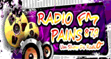 R&aacute;dio Pains FM