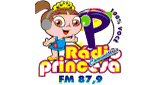 R&aacute;dio Princesa do Brejo FM
