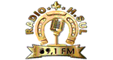 H. Sul FM