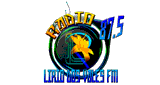 R&aacute;dio Lirio dos Vales
