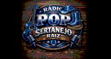 Pop Music Sertanejo Raiz