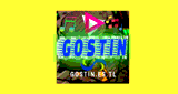 Radio Gostin
