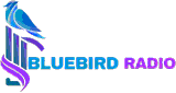 Bluebird Radio Rock