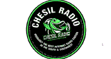 Chesil Radio