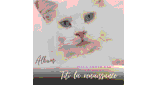 Radio titi l'amour des animaux