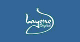 layene-digital