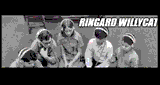 Ringard Willycat