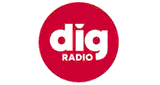 DIG RADIO Sud Vend&eacute;e