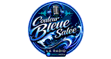 Couleur Bleue Sal&eacute;e