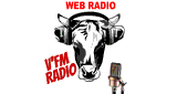 v'fm radio normandie