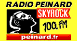 Radio Peinard Skyrock