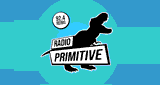 Radio Primitive
