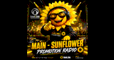 Sunflower Promotion - Main
