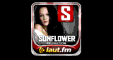 Sunflower Promotion - Discofox & Schlager