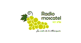 Radio Moscatel 107.1 FM Axarqu&iacute;a - Espa&ntilde;a