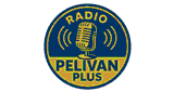 Radio Pelivan Plus