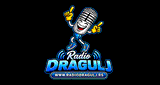 Radio Dragulj