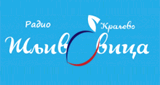 Radio &Scaron;ljivovica