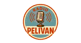 Radio Pelivan